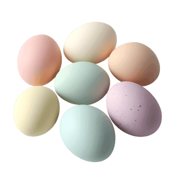 Pastel colored eggs arranged in a circle.