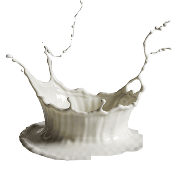 Dynamic splash of milk, perfect for dairy products