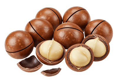 Macadamia nuts, whole and cracked, isolated on black background.