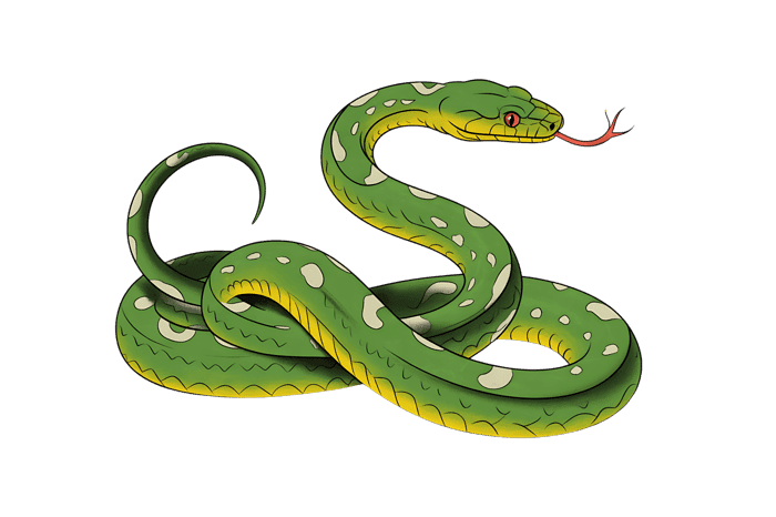 Green tree python illustration with red tongue