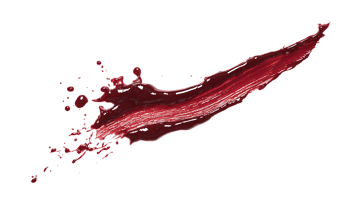 Dynamic splash of red liquid isolated on a black background