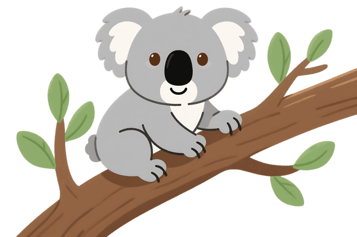 Cartoon koala on branch, cute animal illustration981