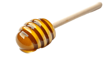Honey dipper with dripping honey, close up.